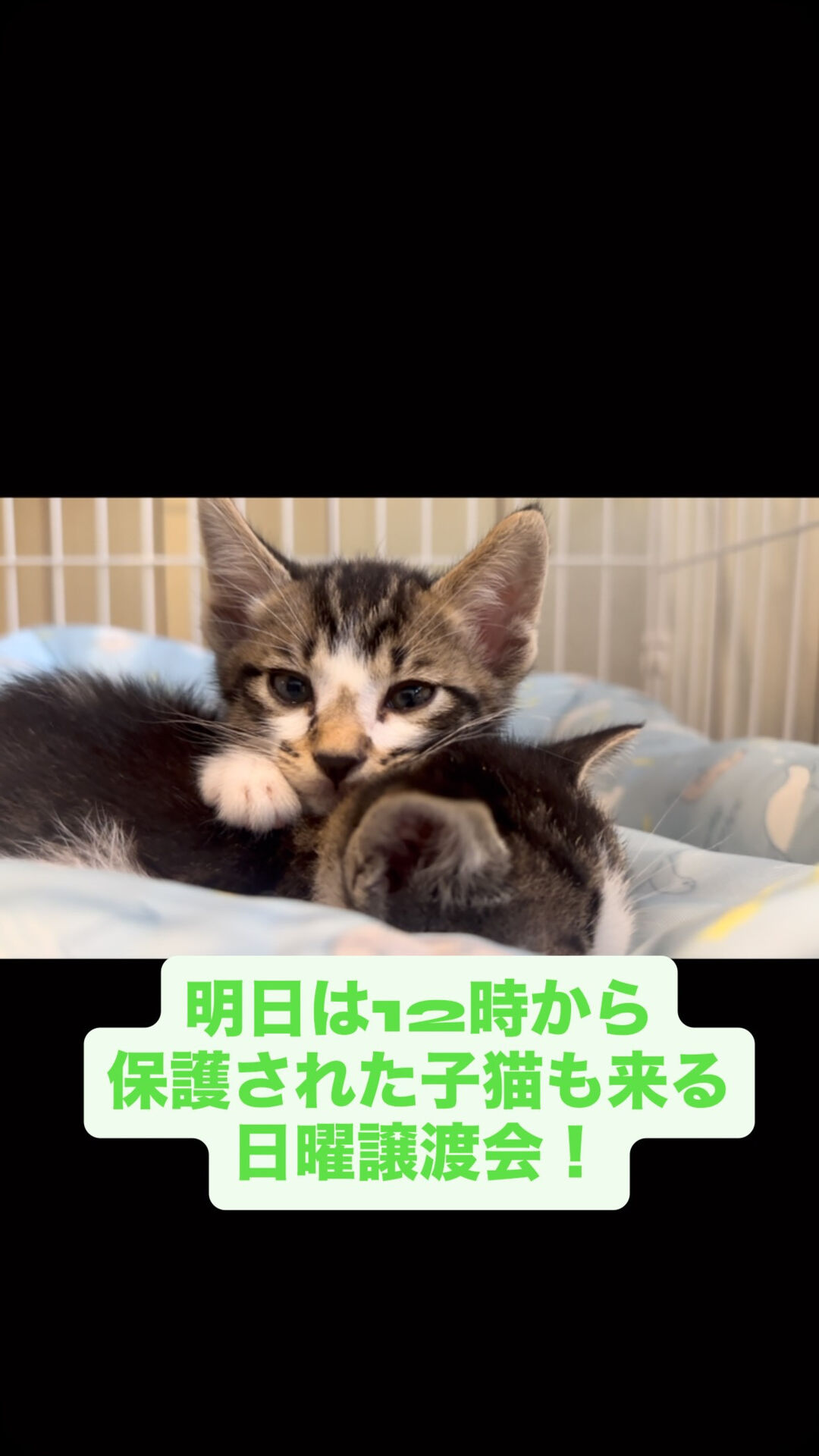 寝落ちしてる間に置いてけぼり🥲