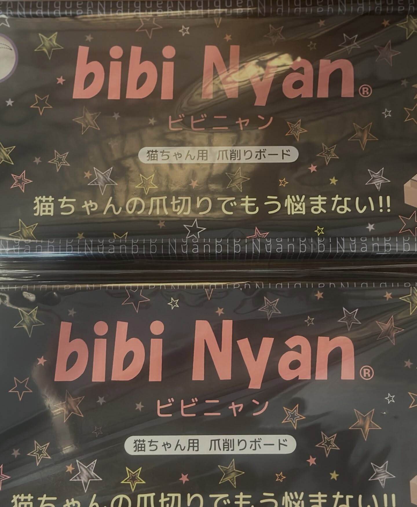 行方不明猫が見つかりました！