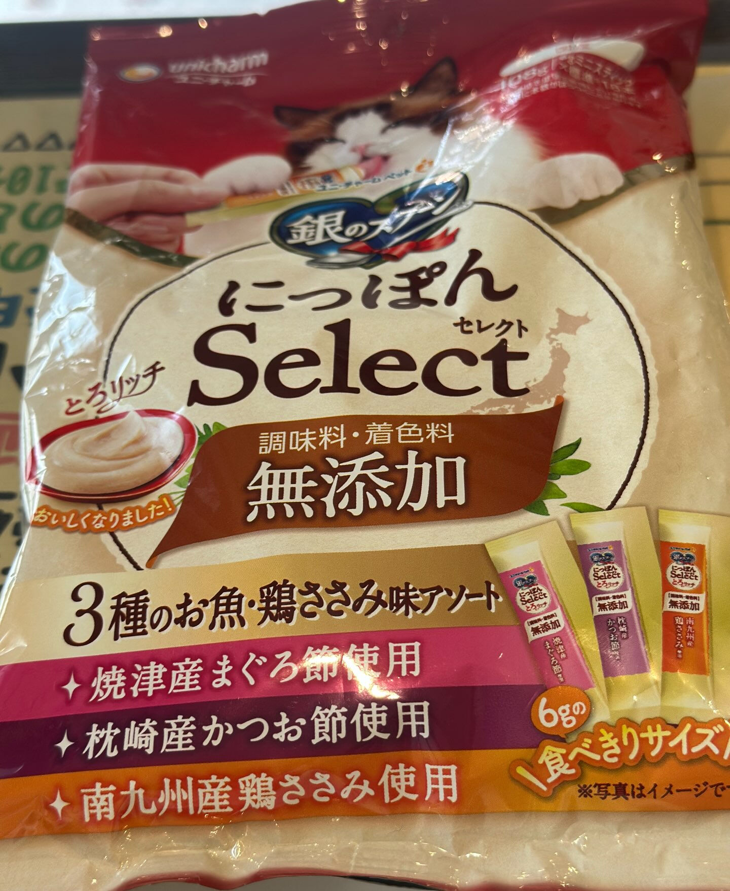 行方不明猫が見つかりました！
