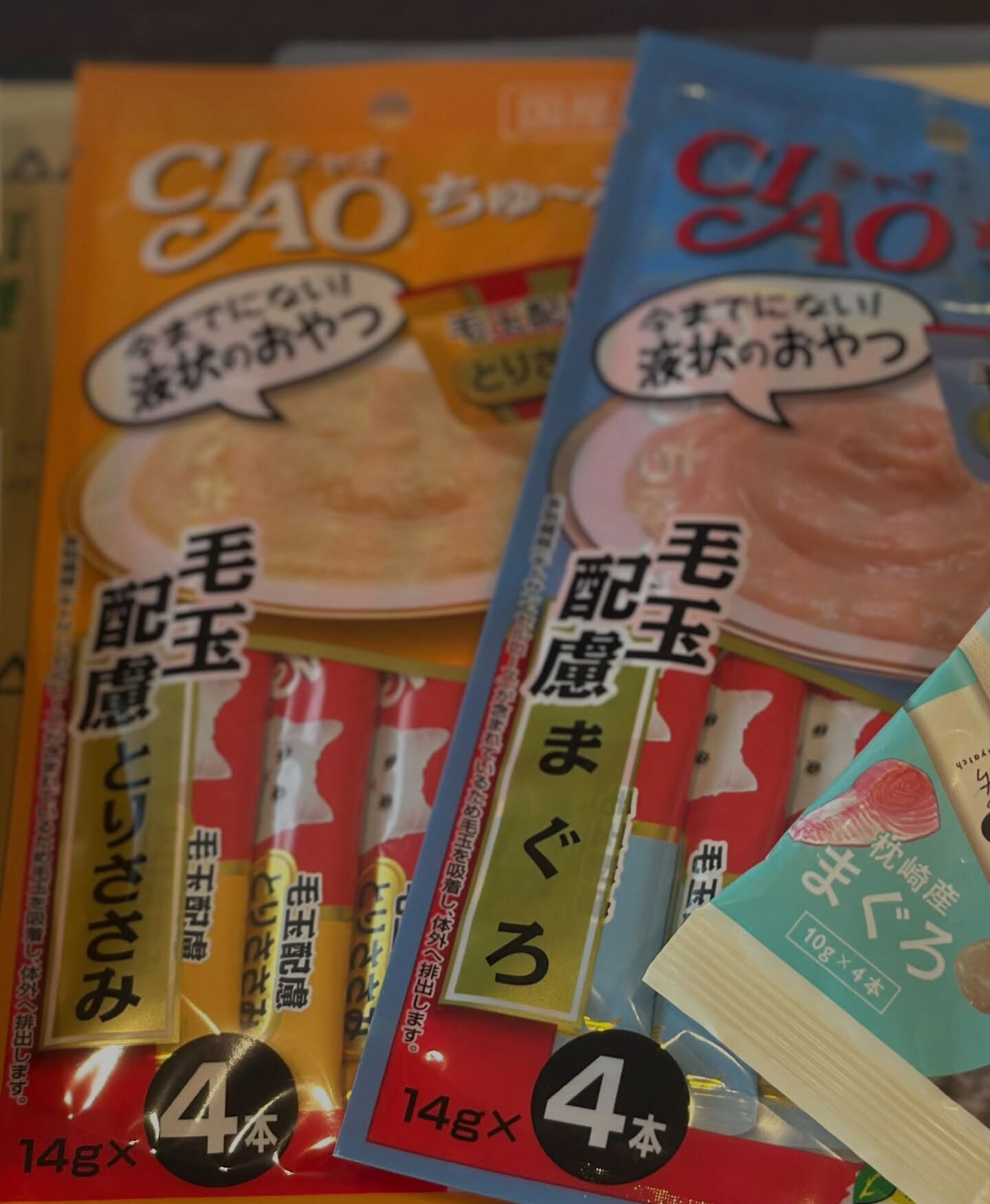 行方不明猫が見つかりました！