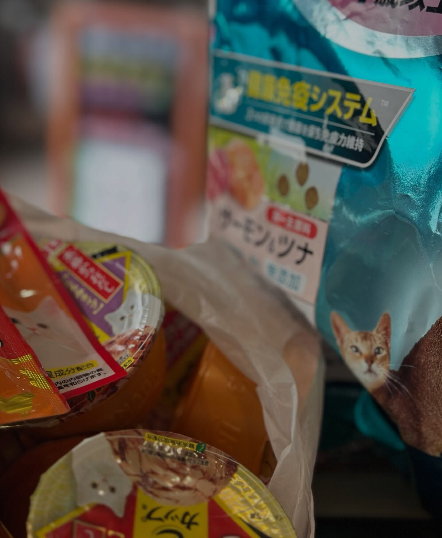 行方不明猫が見つかりました！