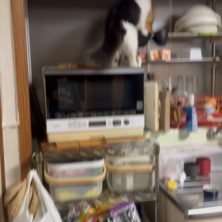 嬉しいお知らせです♪