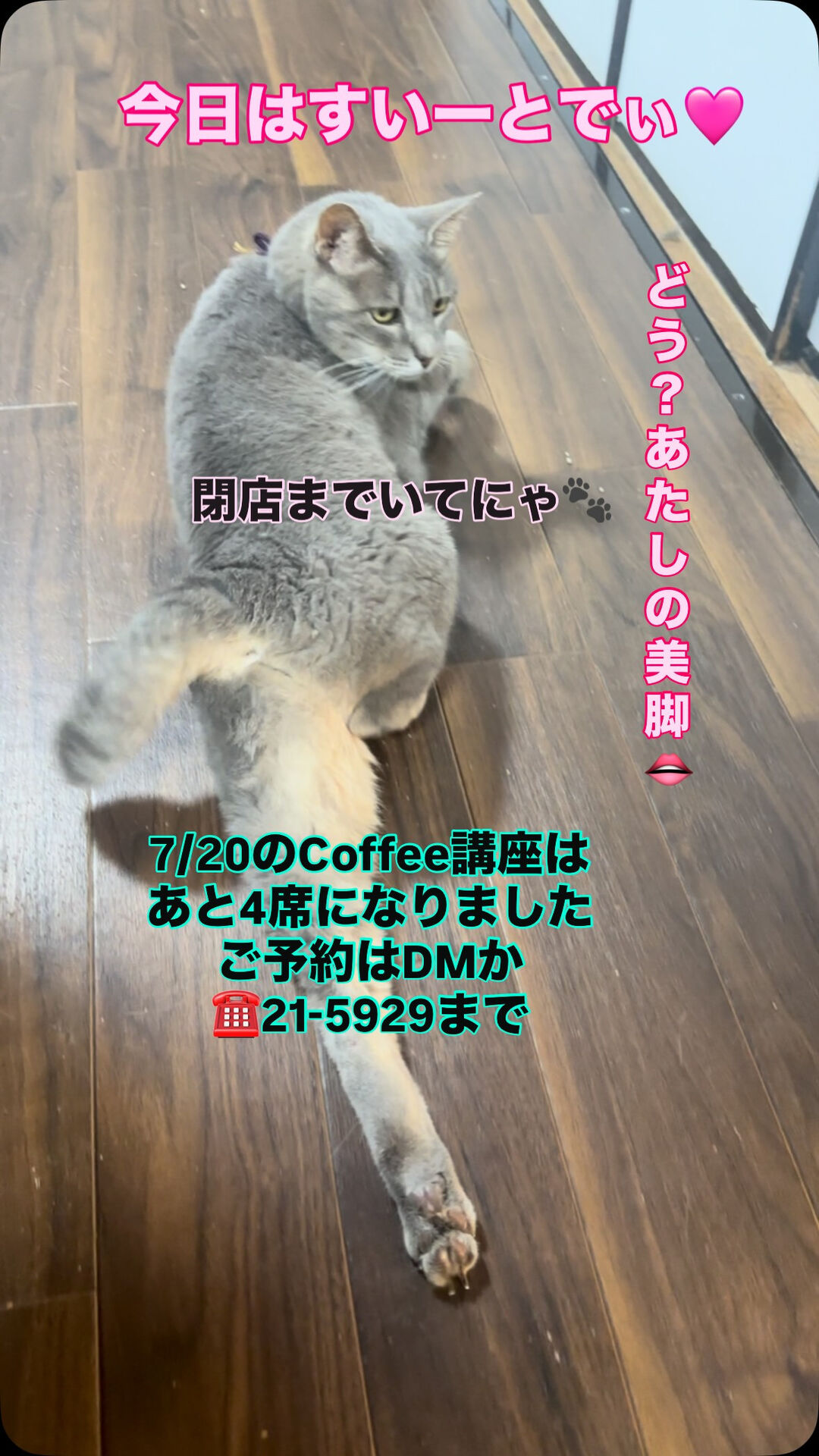 美しい鈴ちゃんはいかが？