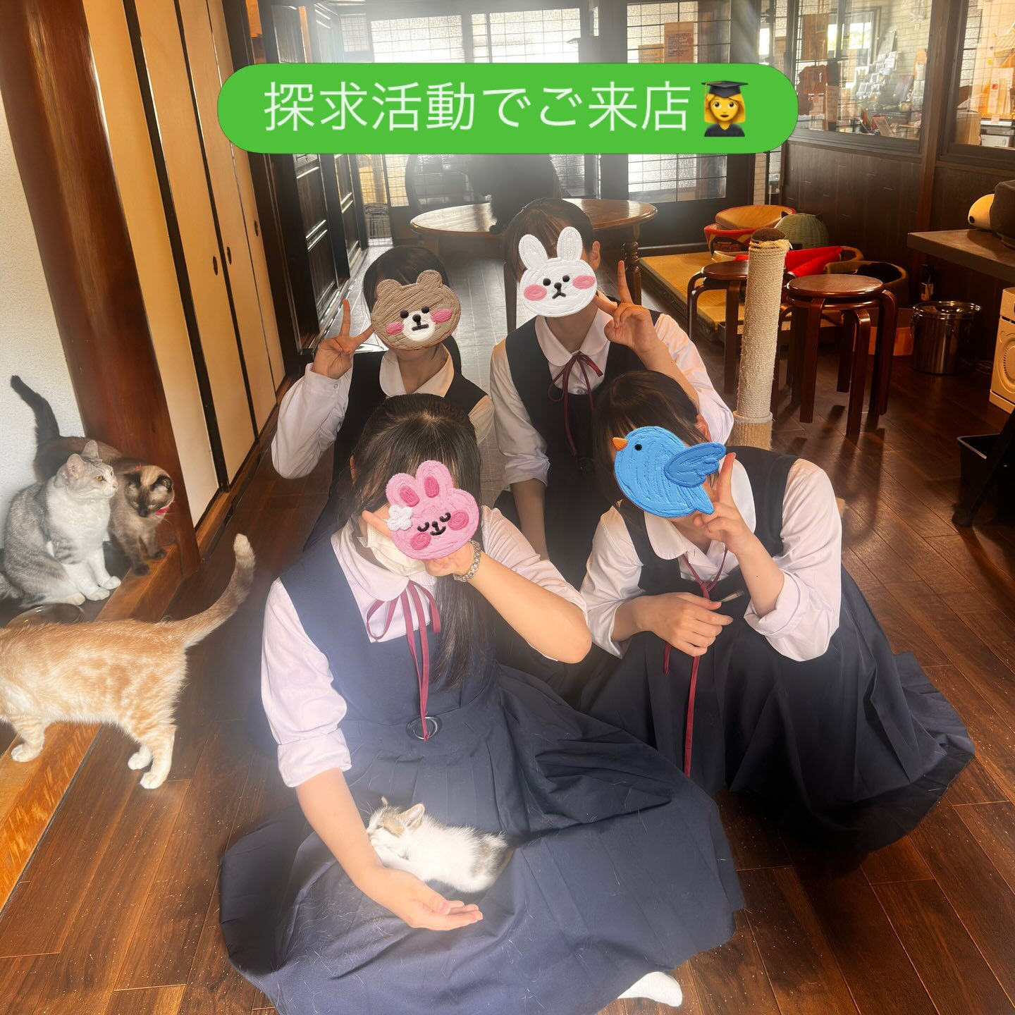 女子高生さんたちがねこべやに🐈‍⬛