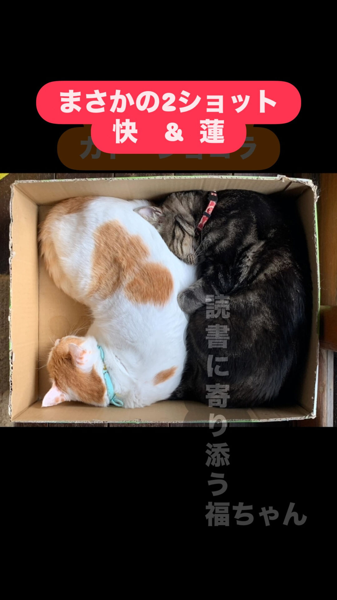 本の持ち込みOKです📕