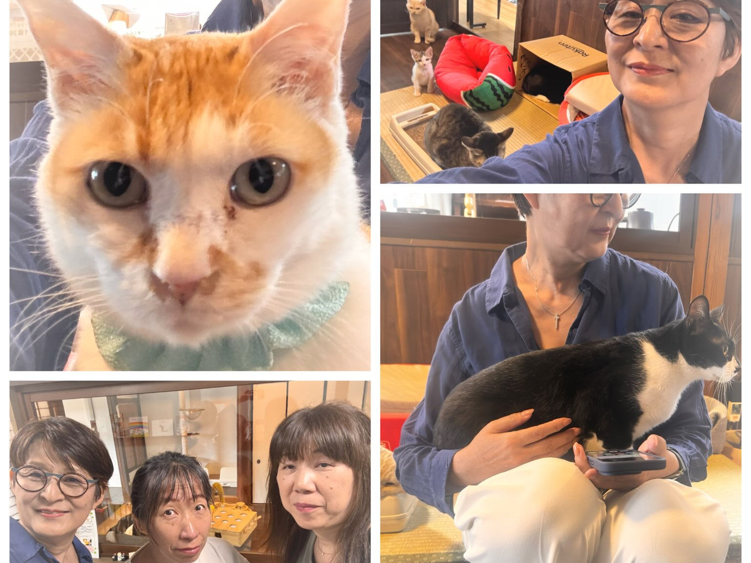お盆中の写真いただいたりしました🤳