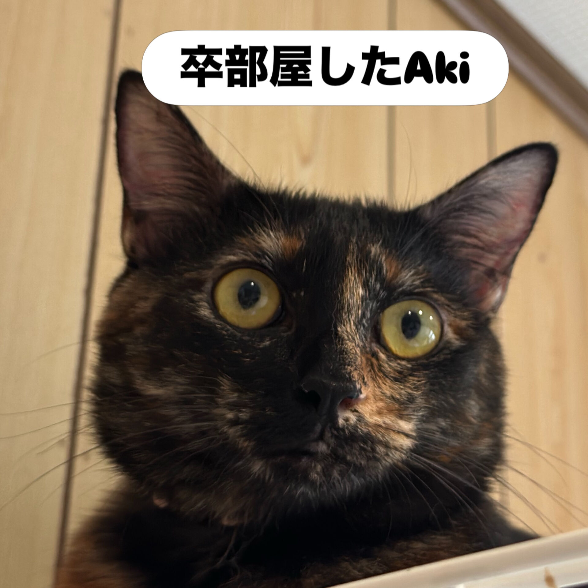 AkiちゃんEmiちゃん久しぶり❣️