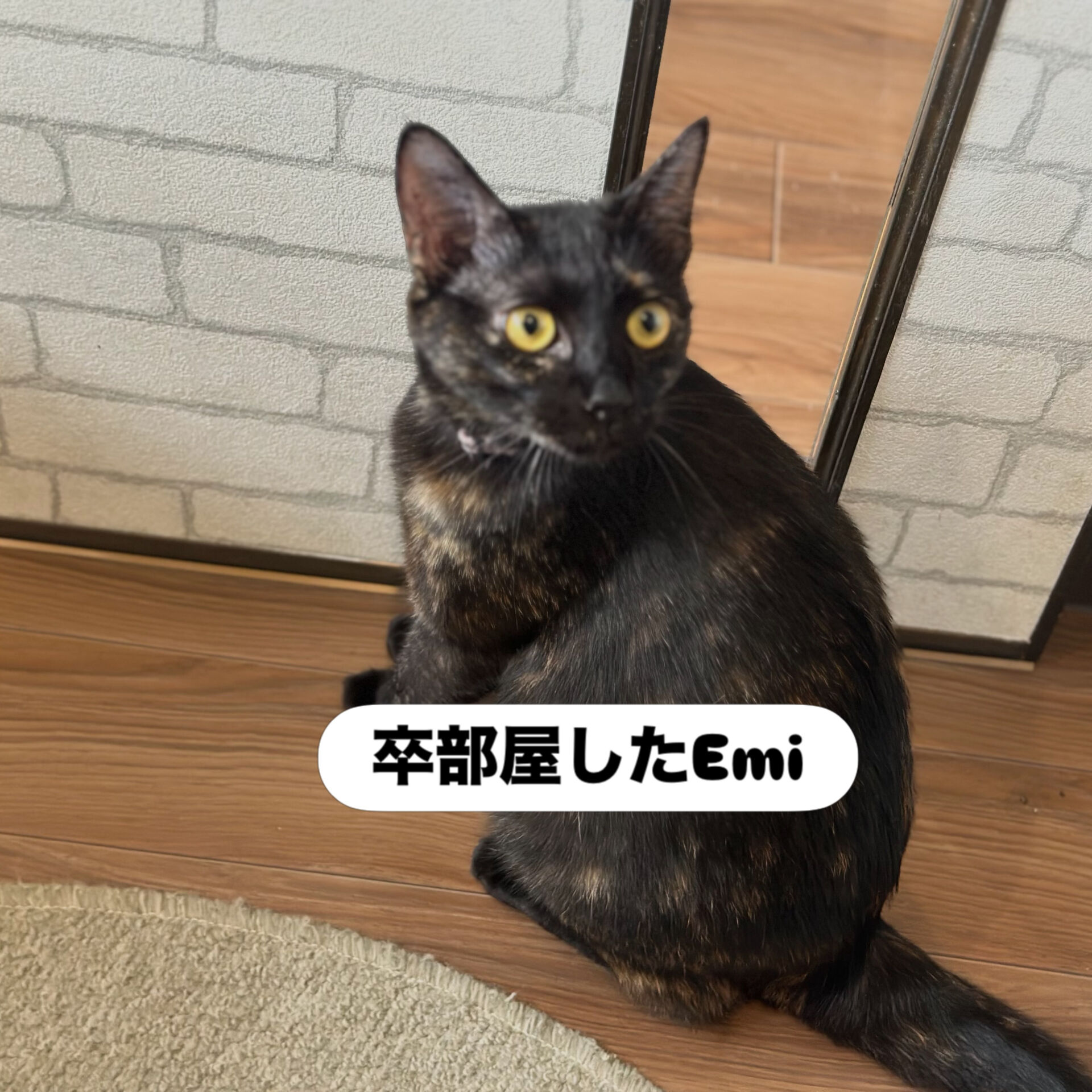 AkiちゃんEmiちゃん久しぶり❣️