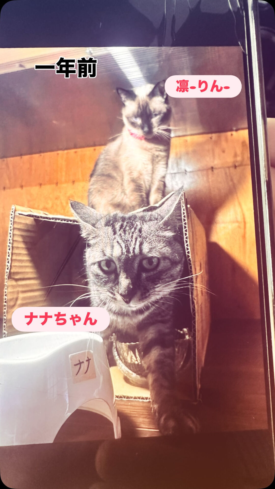 不思議な巡り合いでした✨