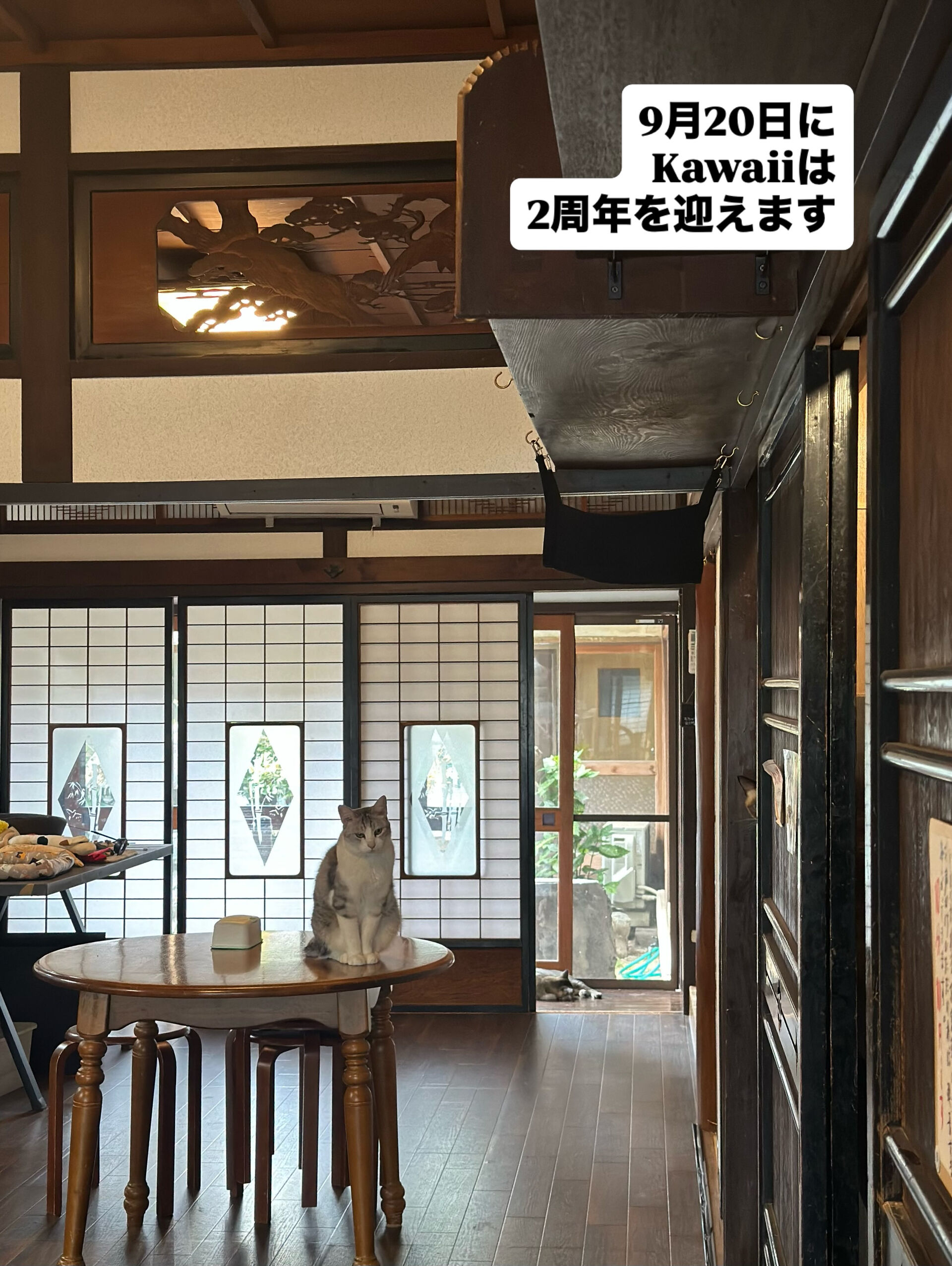 皆さまにお知らせします♪