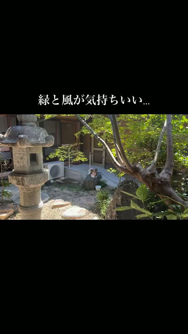 こんな日は外に出たい！