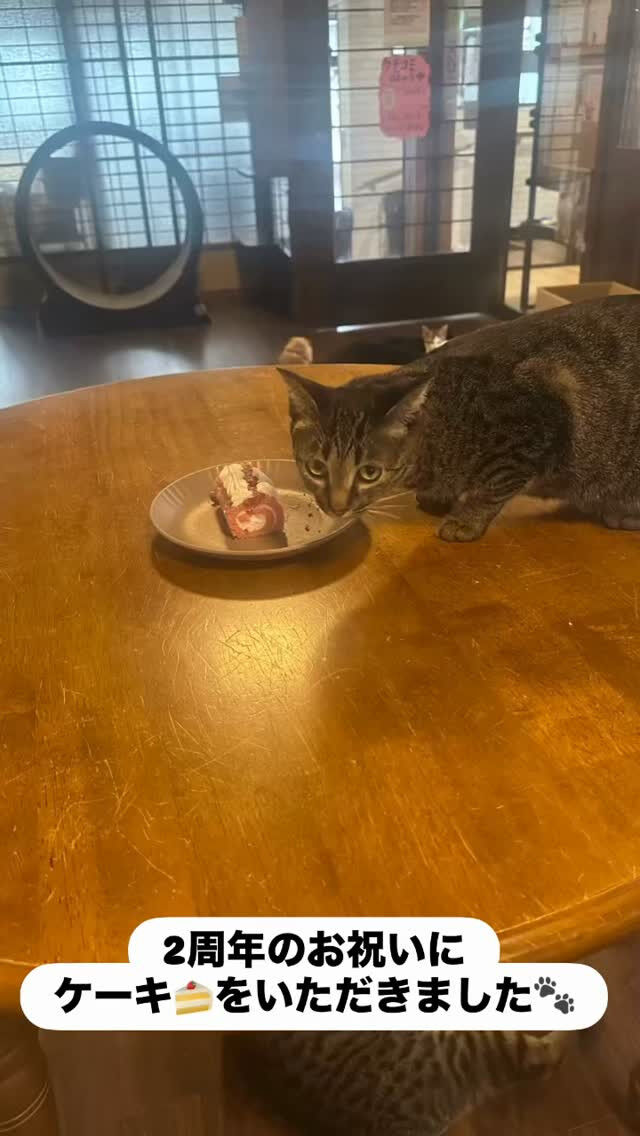 お祝いのケーキ🍰第二弾