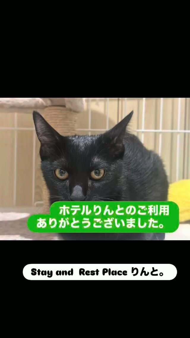 🐈‍⬛宿泊のご利用でした✨