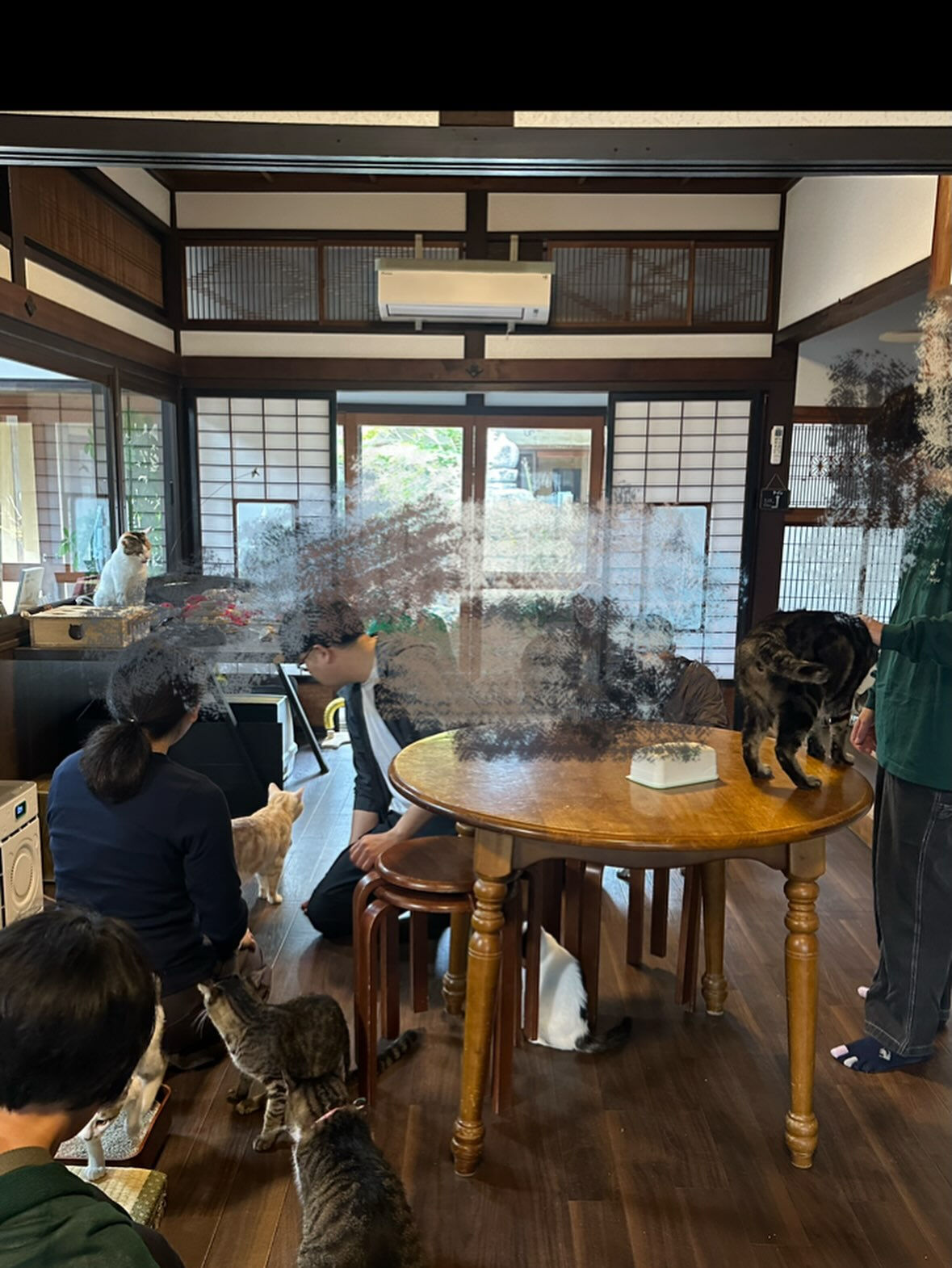 ひとの恋活お手伝いしたにゃ🐾