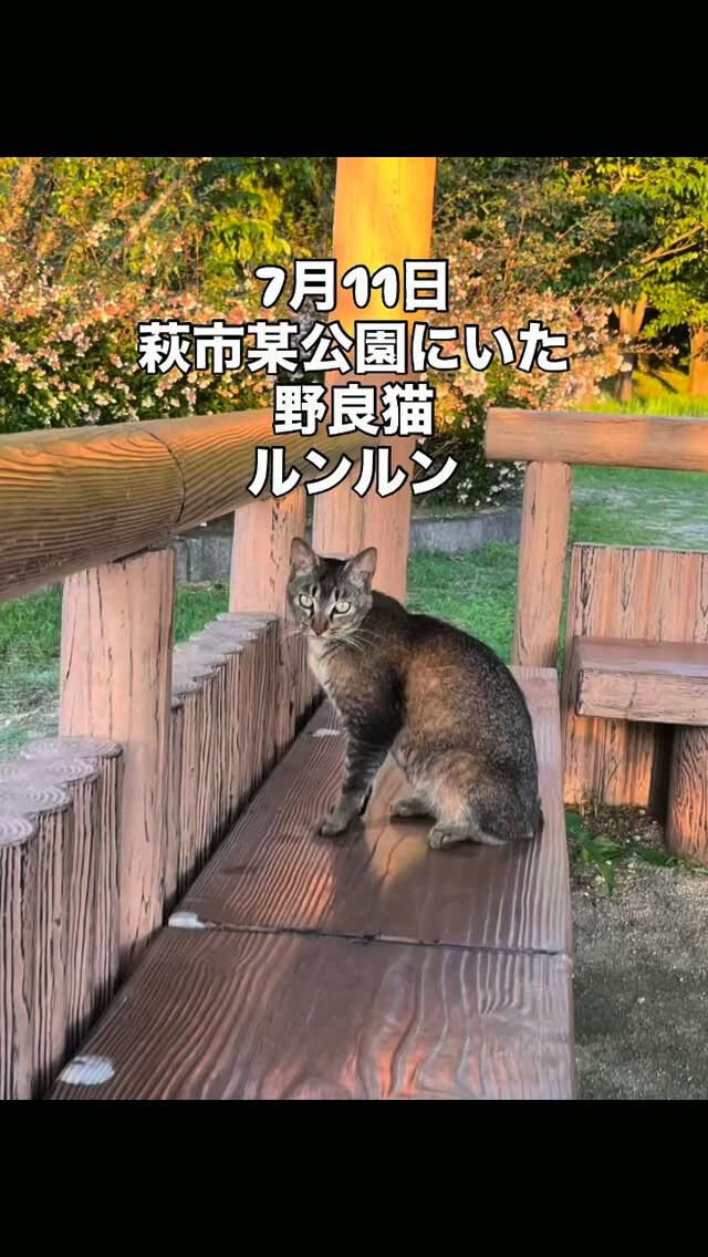 ルンルンのお話し　❶