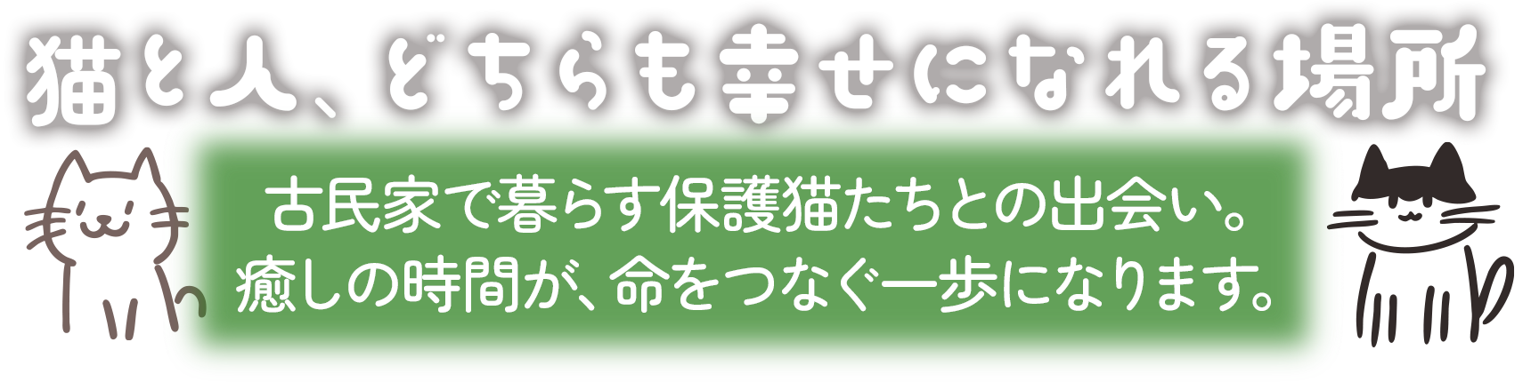 MVcatch