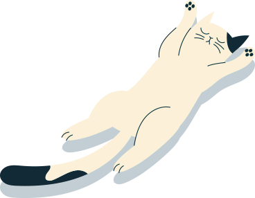 どるちぇすいーつと猫が彩る穏やかな空間