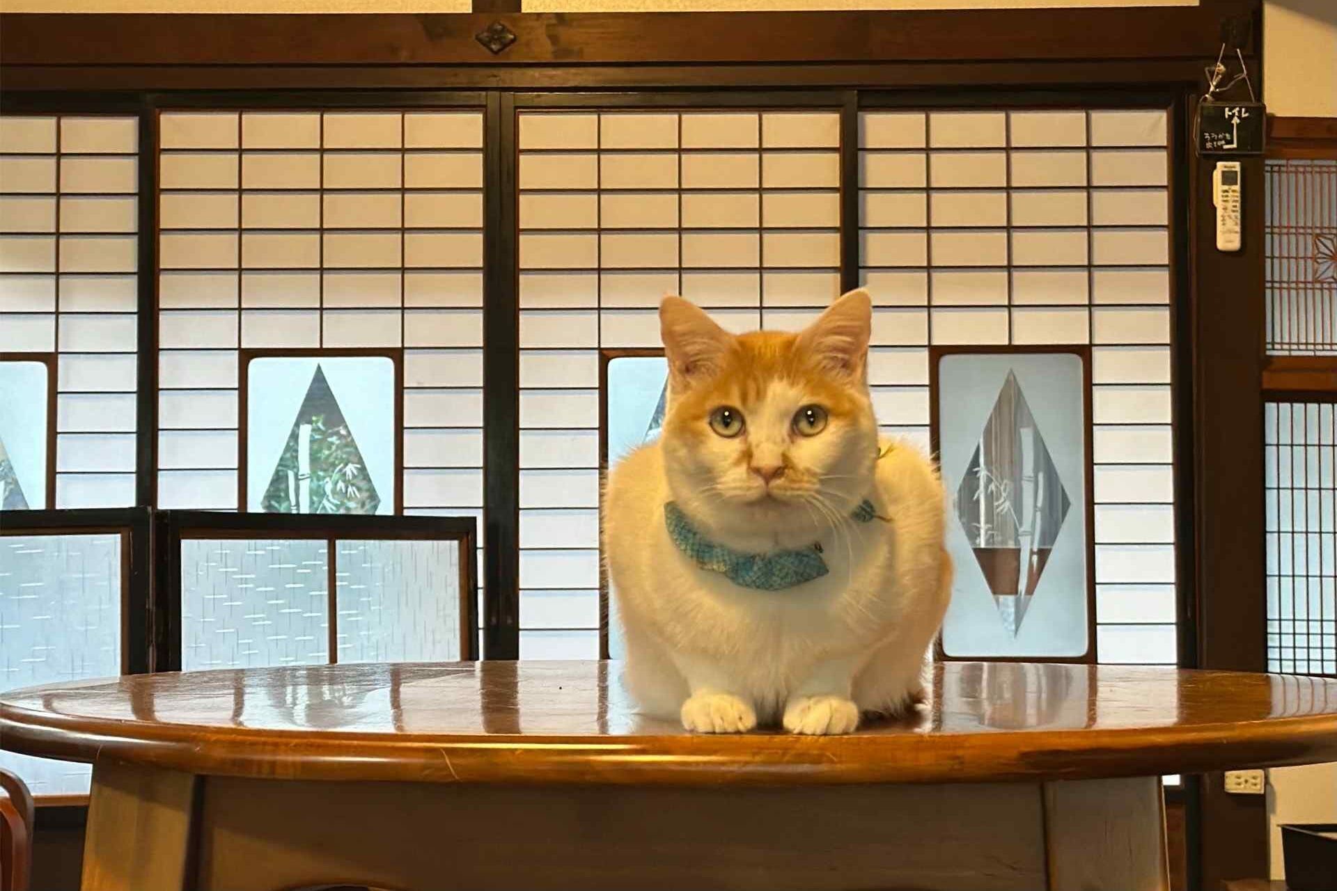 特徴