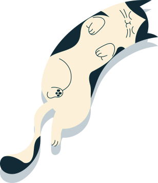 人懐っこい猫たちと過ごす癒しの時間